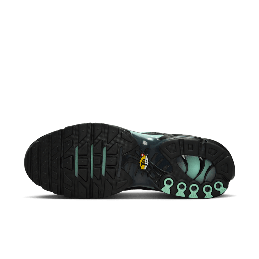 Nike Air Max Plus