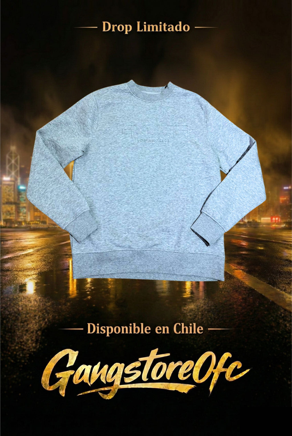 Hoddie Guess