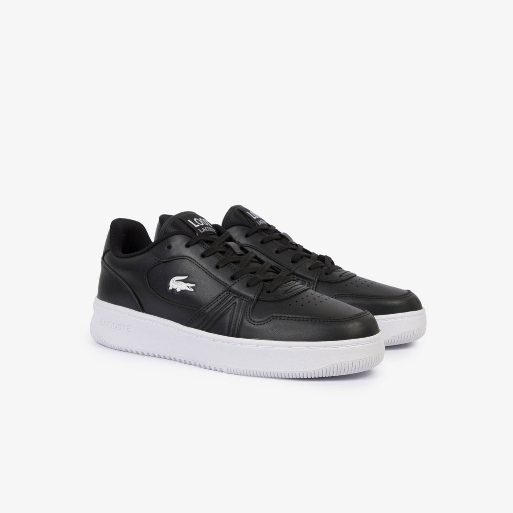 Lacoste Lineset