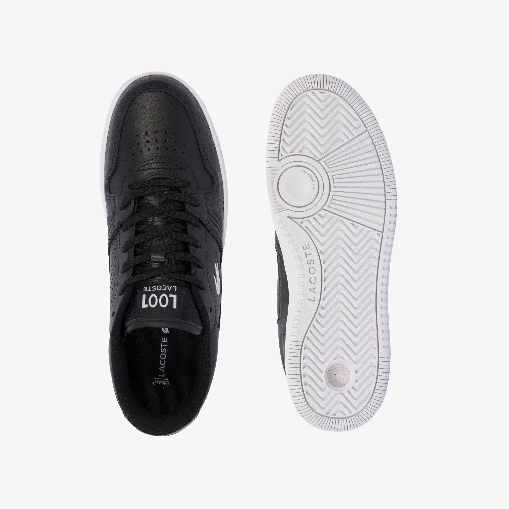 Lacoste Lineset